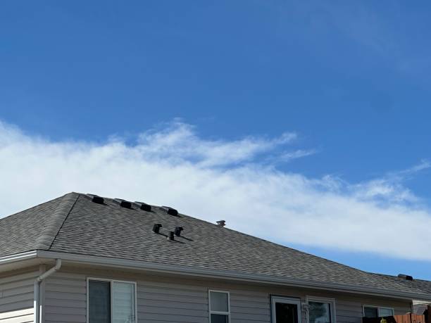 Best Green or Eco-Friendly Roofing Solutions  in Pinehurst, TX